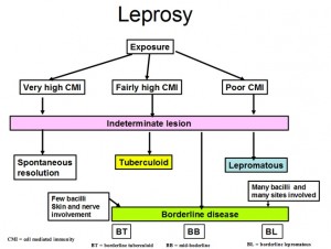treat leprosy